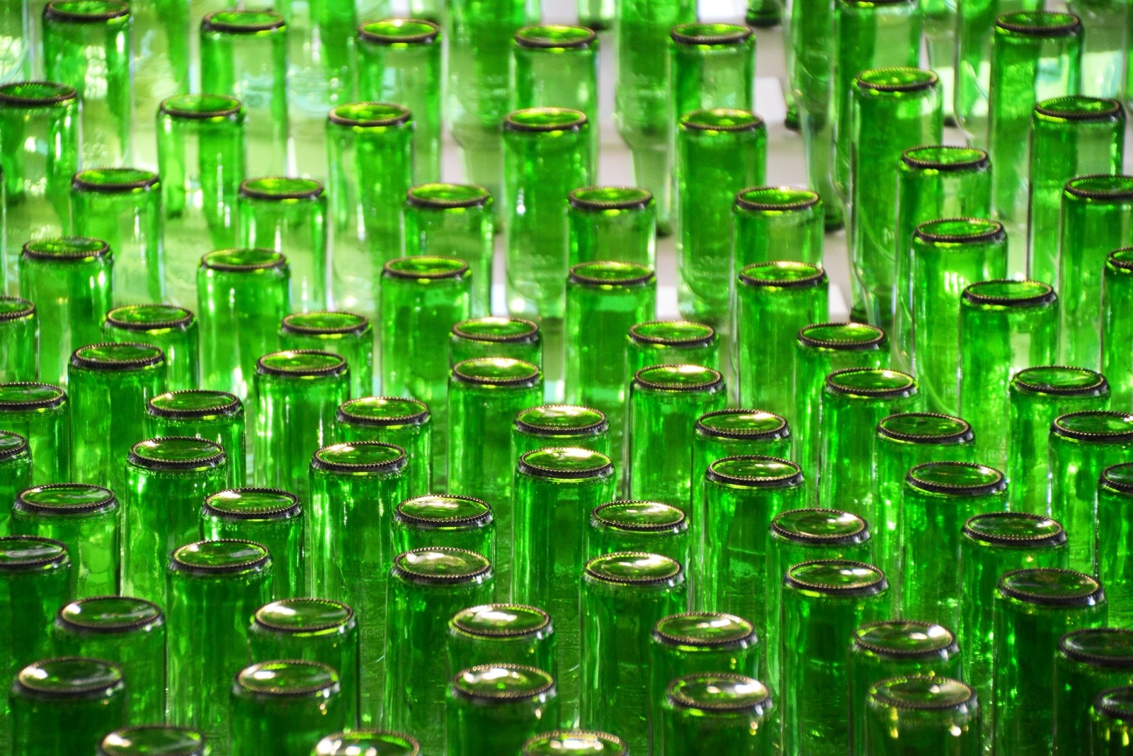 green-bottles.jpg