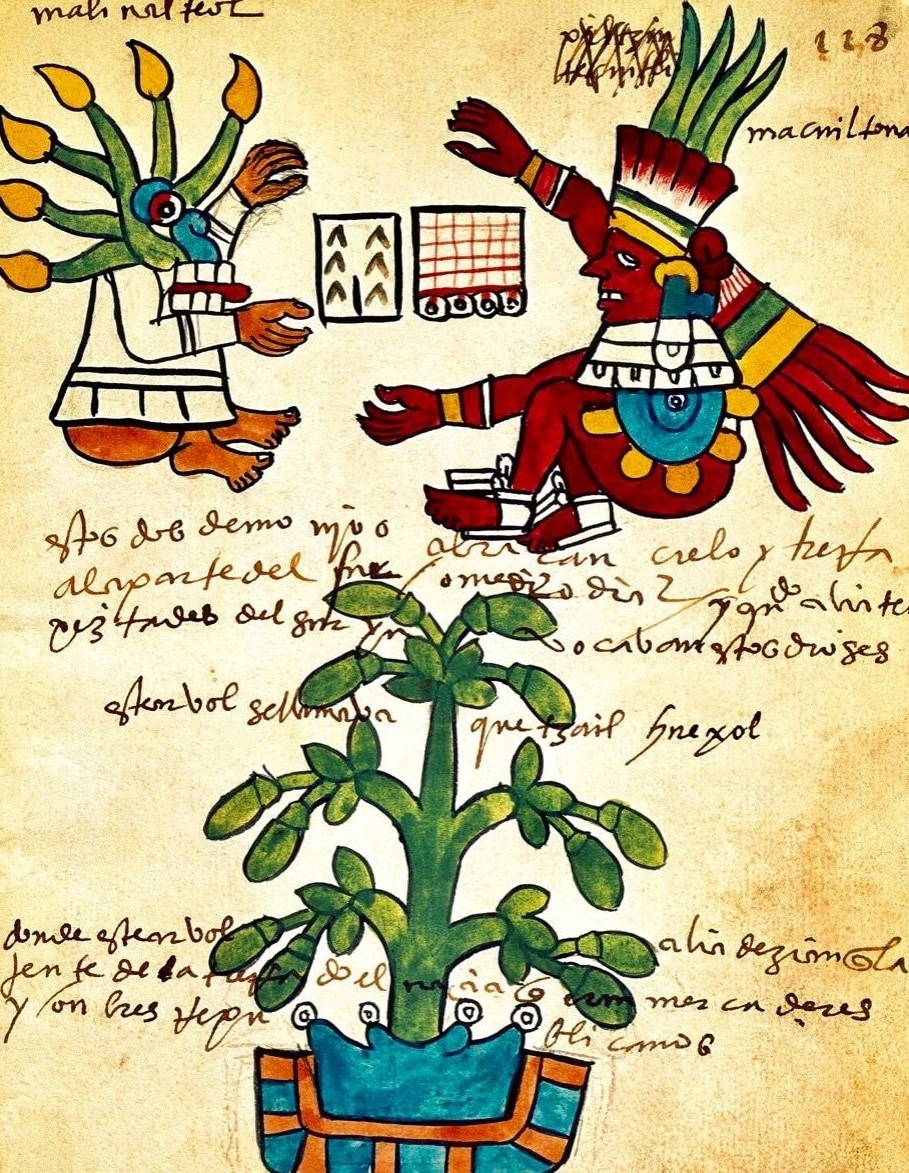 Παράσταση σε πάπυρο που απεικονίζει Αζτέκουςκαι το κακαόδεντρο
