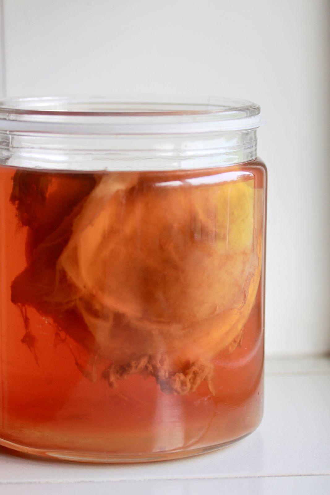 Βάζο με ζύμωση Kombucha-scoby