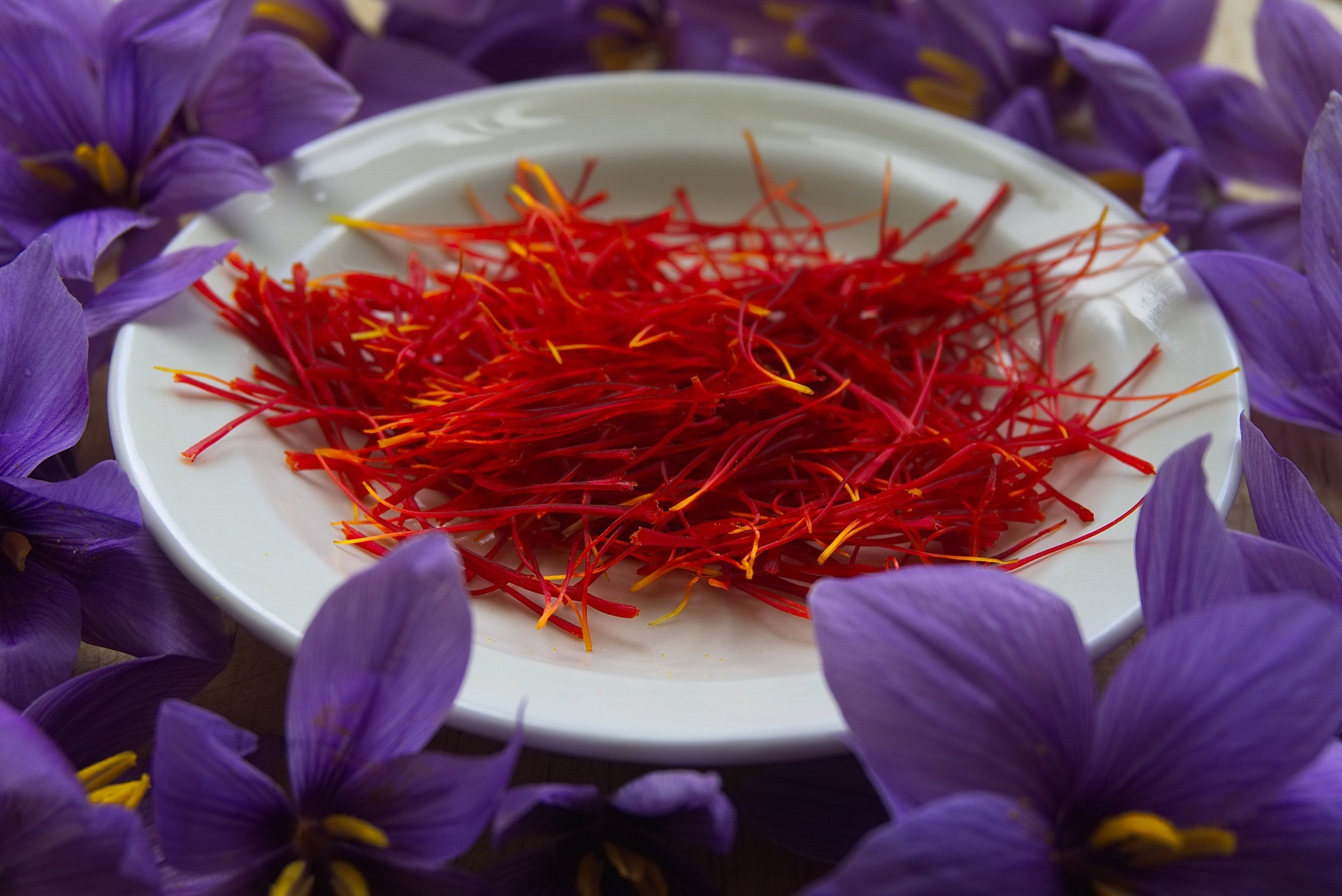 Κρόκος Κοζάνης αποξηραμέμος σε πιάτο γύρω από από μωβ λουλούδια