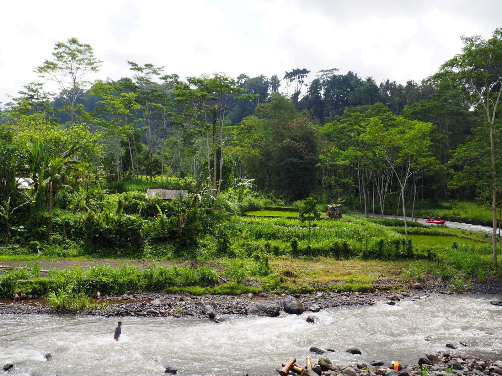 Η ύπαιθρος στην Ubud