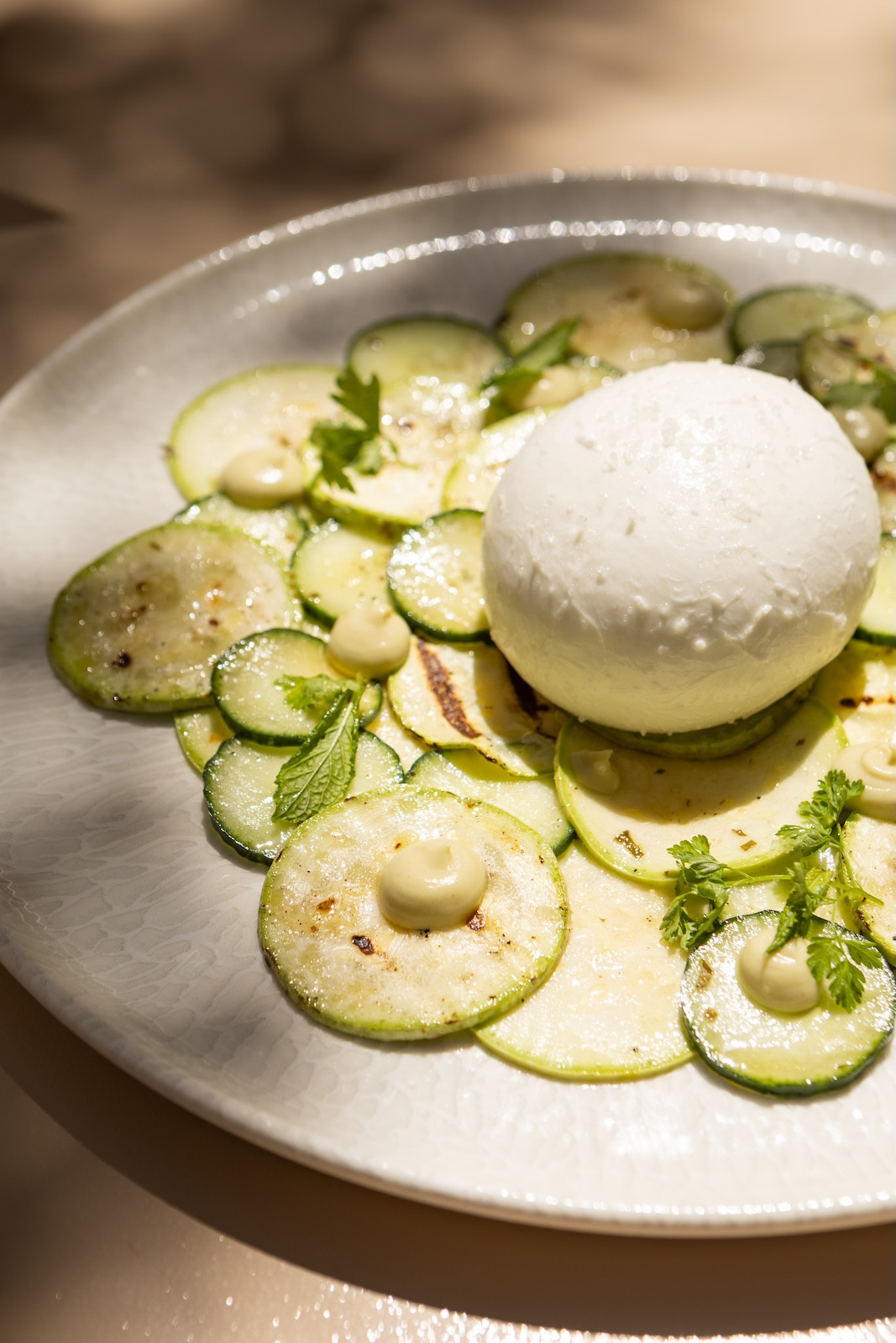 Burrata & Zucchini/ Μπουράτα με ωμό και ψητό καρπάτσιο κολοκυθιού με dressing yuzu, κρέμα από ψητό κολοκύθι και φινόκιο και καρβουδισμένο κουκουνάρι