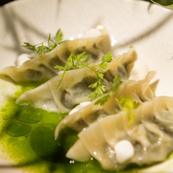 Gyoza γεµιστά με σπανάκι | Τυριά |   Μυρωδικά | Σάλτσα από αγγούρι και αρωματικό γιαούρτι