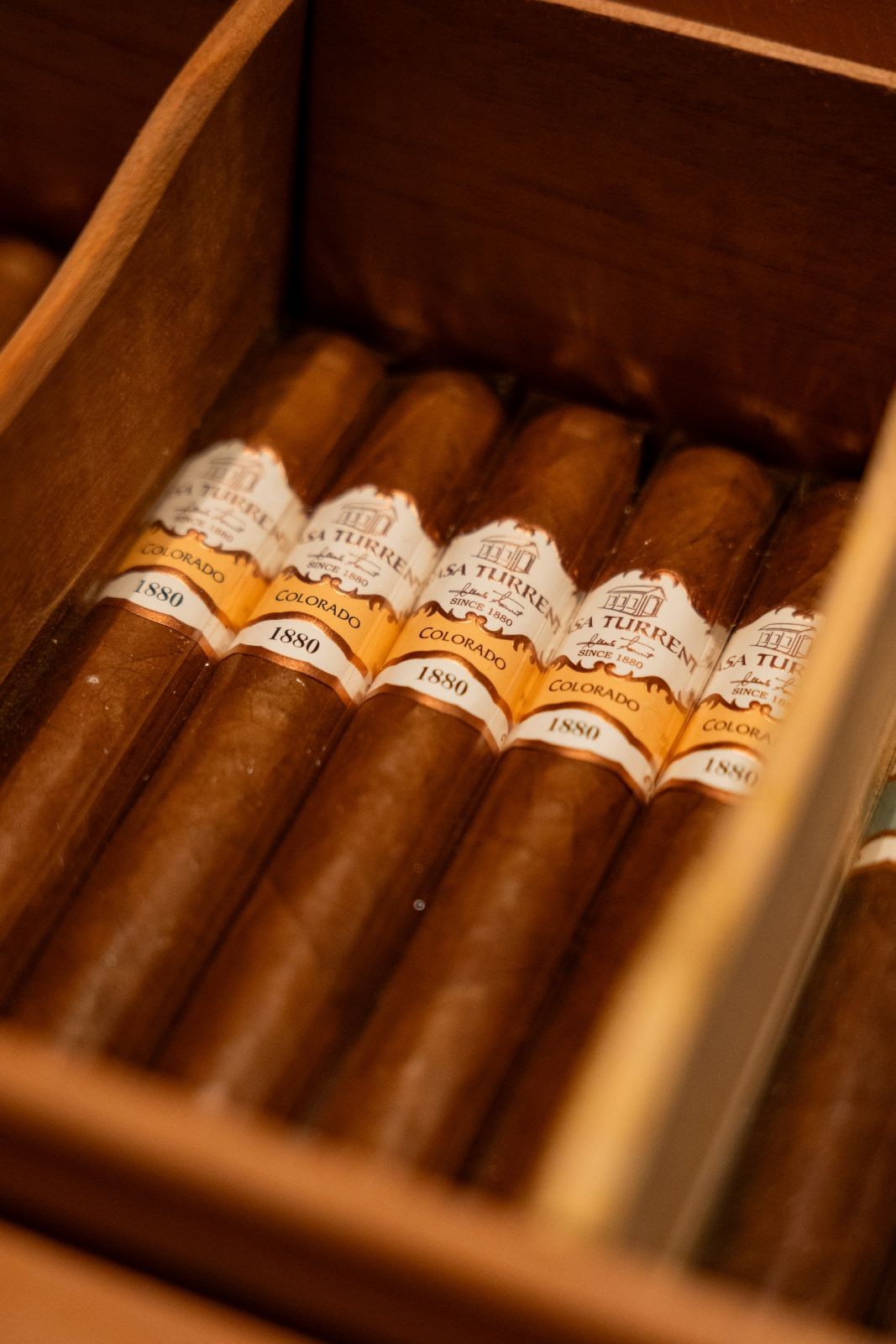 The Cigar Aficionados Masterclass